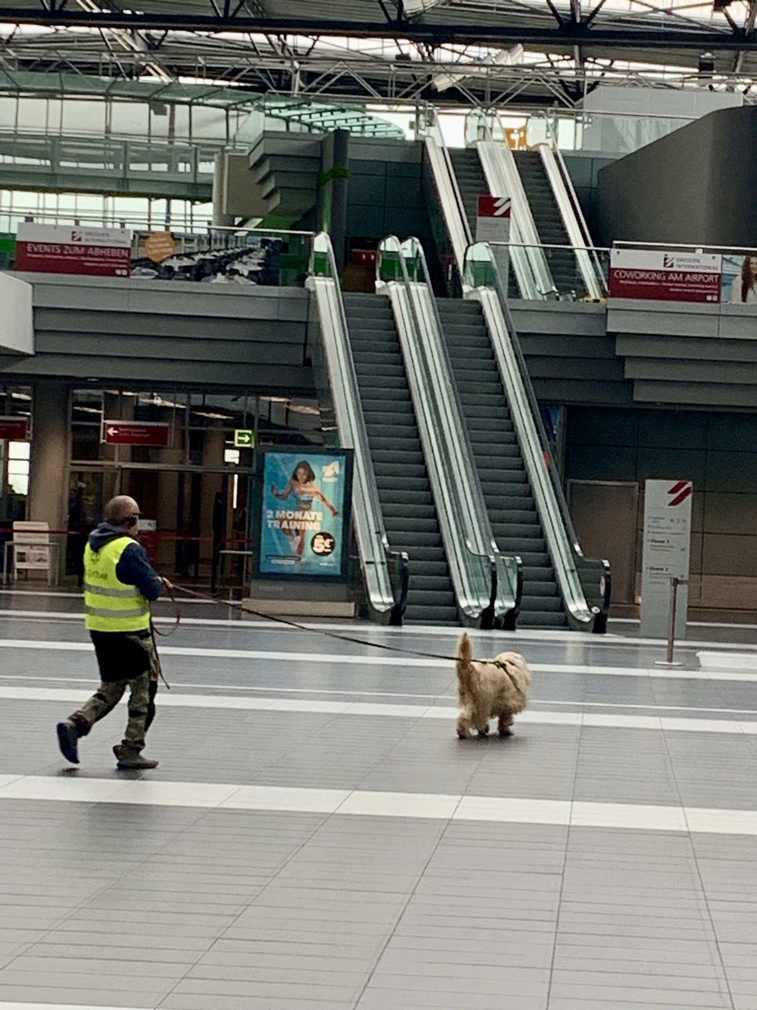 Mantrailing Seminar in Dresden bei Dogs-n-joy.de