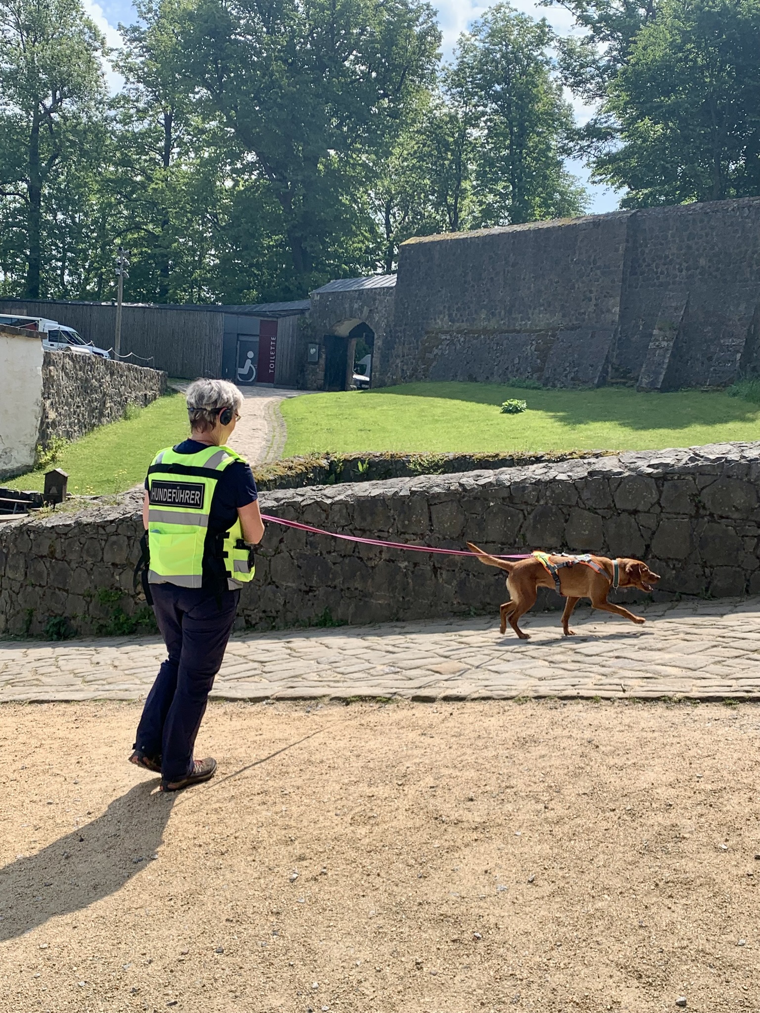 Mantrailing Trainer -Ausbildung Sachsen bei Dogs-n-joy.de